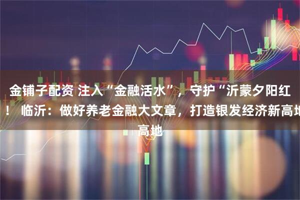 金铺子配资 注入“金融活水”，守护“沂蒙夕阳红”！ 临沂：做好养老金融大文章，打造银发经济新高地
