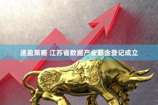 速盈策略 江苏省数据产业基金登记成立